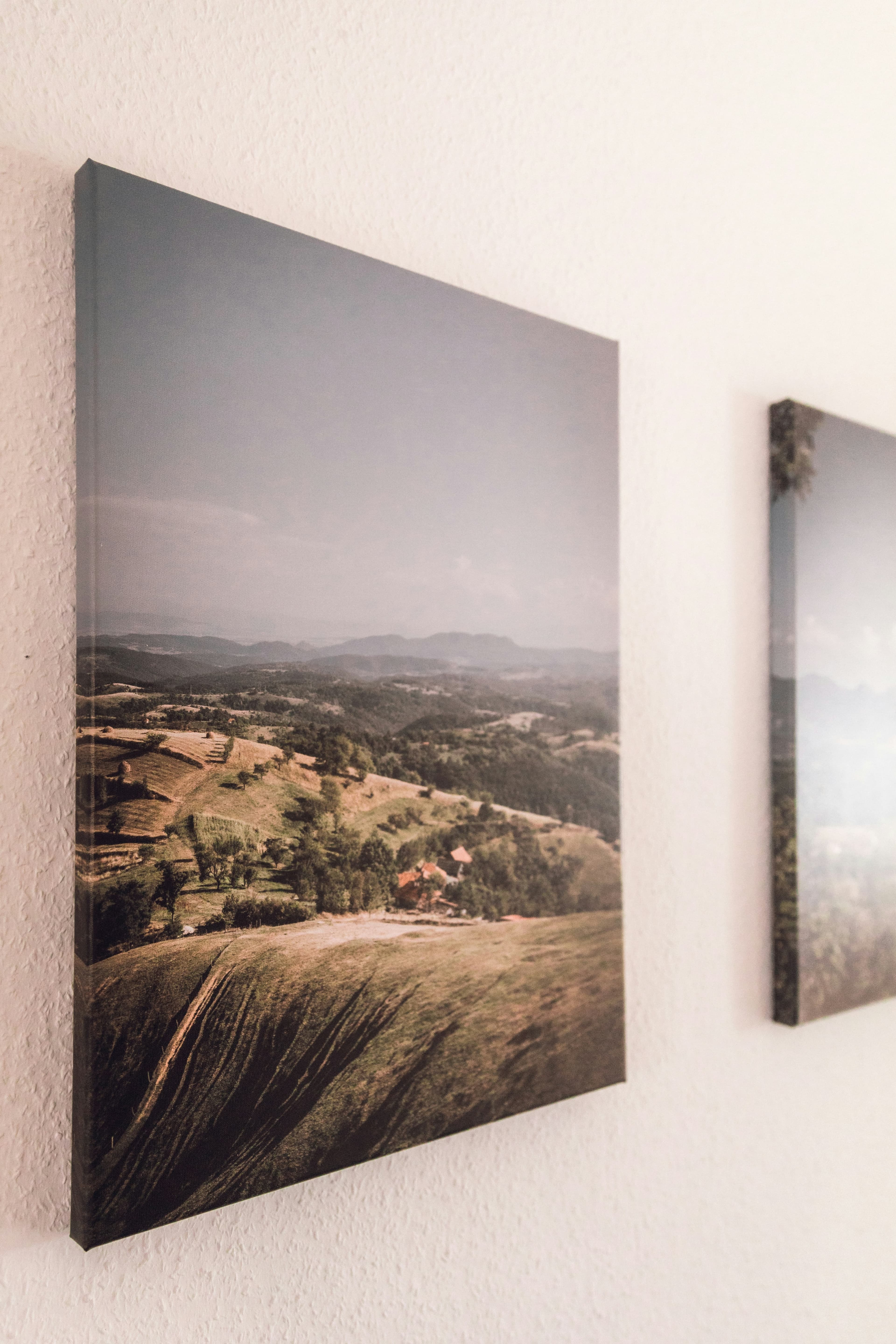 Why Canvas Prints Are the Best Choice for Modern Home Décor